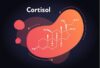 Cortisol là gì và làm thế nào để điều chỉnh mức độ Cortisol?
