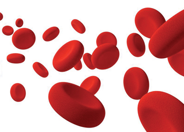 Những điều cần biết về thuốc chống đông máu mà bạn cần biết