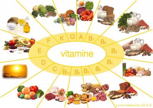 Vitamin và khoáng chất là chất xúc tác hỗ trợ quá trình trao đổi chất diễn ra bên trong cơ thể